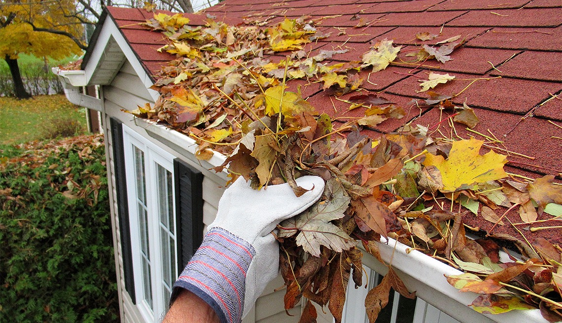 Limpieza de Otoño: Prepárate para la Temporada de Frío